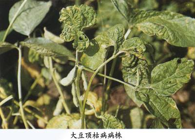 概述图